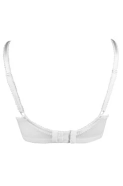 Imogen Rose Embroidered Bra - White -Sultry Curve 229662 20230606143900