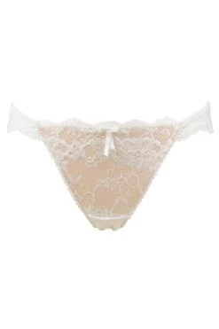 Amour Brazilian Brief - Ivory/Champagne -Sultry Curve 231346 20230605134300