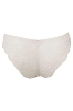 Amour Brazilian Brief - Ivory/Champagne -Sultry Curve 231347 20230605134300