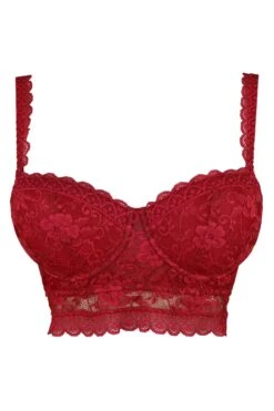Rebel Strapless Longline Bra - Red -Sultry Curve 232641 20230425164500