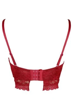 Rebel Strapless Longline Bra - Red -Sultry Curve 232642 20230425164500