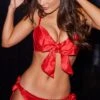 All Wrapped Up Tie Side Brief - Red -Sultry Curve 234783 20201126154700