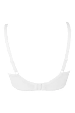 Flora Underwired Bra - White -Sultry Curve 236240 20230510164200