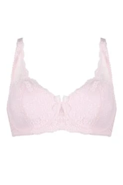 Flora Lightly Padded Underwired Bra - Soft Pink -Sultry Curve 236354 20230607165600