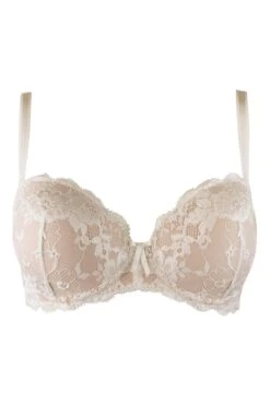 Amour Padded Balconette Bra - Ivory/Champagne -Sultry Curve 236686 20230605134400