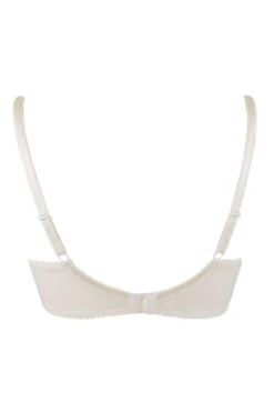 Amour Padded Balconette Bra - Ivory/Champagne -Sultry Curve 236687 20230605134400