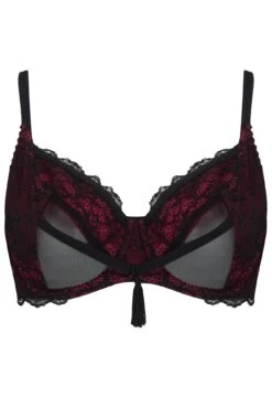 Imagine Underwired Bra - Black/Red -Sultry Curve 237619 20201126155000