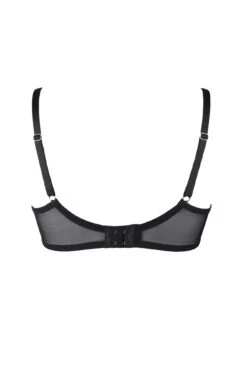 Statement Padded Bra - Black -Sultry Curve 239281 20211110125900