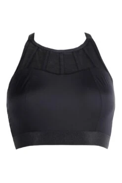 Energy Empress High Neck Padded Non Wired Sports Bra - Black -Sultry Curve 240361 20201217095600