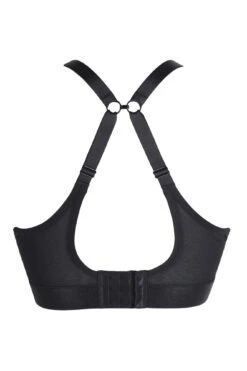 Energy Empress High Neck Padded Non Wired Sports Bra - Black -Sultry Curve 240362 20201217095600
