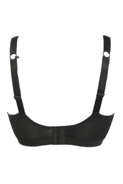 Energy Strive Non Wired Non Padded Lined Full Cup - Black/Rose Gold 16 Energy Strive Non Wired Non Padded Lined Full Cup - Black/Rose Gold -Sultry Curve 247099 20230215091900