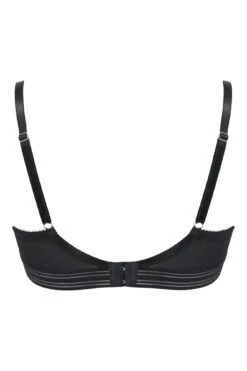 Revolution Contour Lightly Padded Bra - Black 9 Revolution Contour Lightly Padded Bra - Black -Sultry Curve 257486 20210812151400