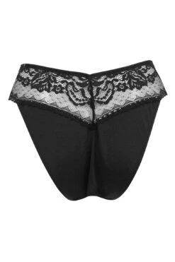 Aura V Brief - Black -Sultry Curve 262518 20221214152300
