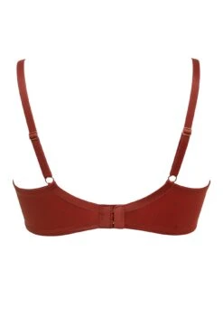 India Stripe Underwired Bra - Chestnut 13 India Stripe Underwired Bra - Chestnut -Sultry Curve 262988 20210923093100