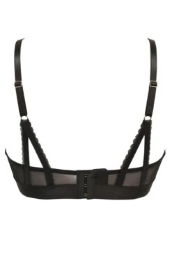 India Mesh & Lace Non Wired Bralette - Black -Sultry Curve 263017 20210923093400