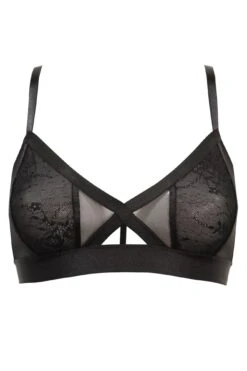 India Mesh & Lace Non Wired Bralette - Black -Sultry Curve 263018 20210923093400