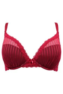 Luxe Linear Lightly Padded Bra - Red/Black -Sultry Curve 263993 20220201090700