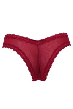 Luxe Linear V Shaped Brazilian Brief - Red/Black -Sultry Curve 264014 20220121170800