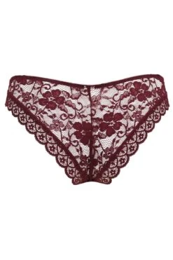 Rebel Brazilian Brief - Black Cherry 9 Rebel Brazilian Brief - Black Cherry -Sultry Curve 264249 20210927145600