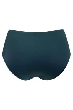 Off Duty Invisible Deep Brief - Forest -Sultry Curve 265019 20211004170700