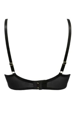 Laced In Gold Demi Padded Bra - Black/Gold -Sultry Curve 265063 20220927170200