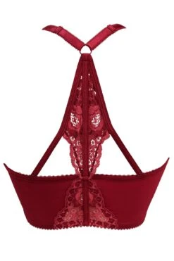 Opulence Front Fastening Underwired Bralette - Deep Red -Sultry Curve 265153 20220121171100