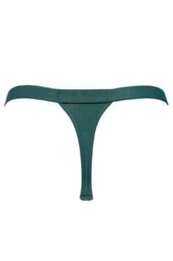 India High Leg Thong - Forest -Sultry Curve 265194 20220621120700
