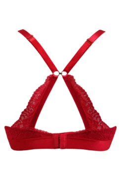 India Removable Padded Soft Triangle Bra - Red 14 India Removable Padded Soft Triangle Bra - Red -Sultry Curve 267746 20211103124800
