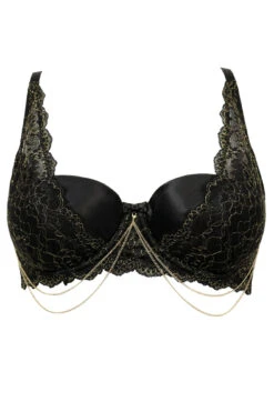 Laced In Gold Padded Set - Black/Gold -Sultry Curve 268214 20211105142500