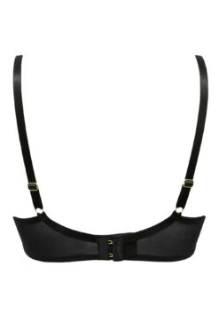 Laced In Gold Padded Set - Black/Gold -Sultry Curve 268218 20211105142500