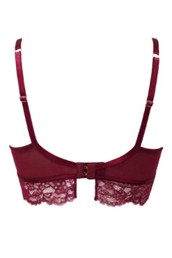 India Padded Demi Set - Rioja -Sultry Curve 268319 20211109094200