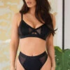 India Mesh Lace Set - Black -Sultry Curve 268467 20211108143300