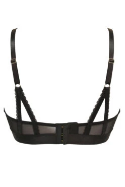 India Mesh Lace Set - Black -Sultry Curve 268469 20211108143300