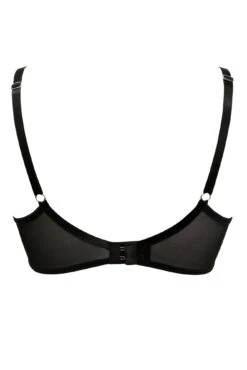Scandalous Padded Bra - Black -Sultry Curve 269063 20211111095600