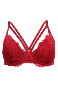 Statement Padded Set - Red -Sultry Curve 269972 20220119121900