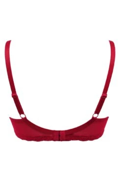 Luxe Linear Lightly Padded Set - Red/Black -Sultry Curve 270170 20220419103100