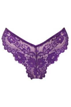India Eyelash Lace V Brief - Blackberry 10 India Eyelash Lace V Brief - Blackberry -Sultry Curve 270785 20221117163000