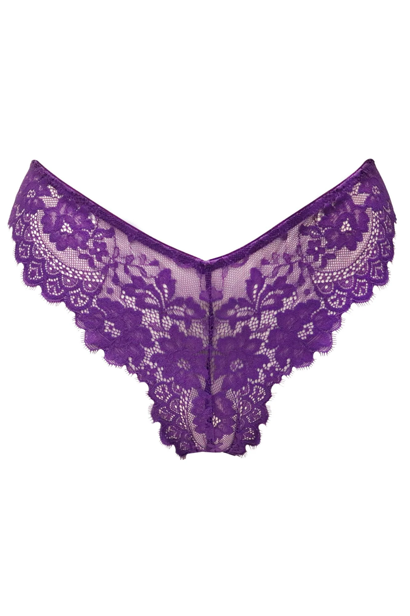 India Eyelash Lace V Brief - Blackberry 6 India Eyelash Lace V Brief - Blackberry - Image 4