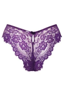 India Eyelash Lace V Brief - Blackberry 11 India Eyelash Lace V Brief - Blackberry -Sultry Curve 270786 20221117163000