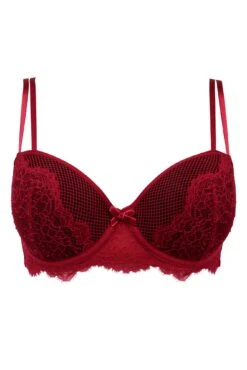 Dark Romance Padded Bra - Red/Black -Sultry Curve 270804 20221027165100