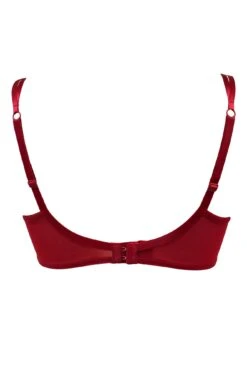 Dark Romance Padded Bra - Red/Black -Sultry Curve 270805 20221027165100