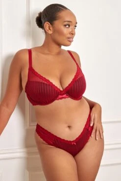 Luxe Linear Lightly Padded Bra - Red/Black -Sultry Curve 273133 20220201090700