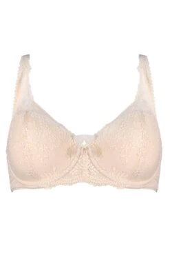 Flora Lightly Padded Underwired Bra - Pearl -Sultry Curve 275716 20220711105900