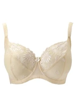 St Tropez Full Cup Bra - Oyster 13 St Tropez Full Cup Bra - Oyster -Sultry Curve 275755 20230615162600