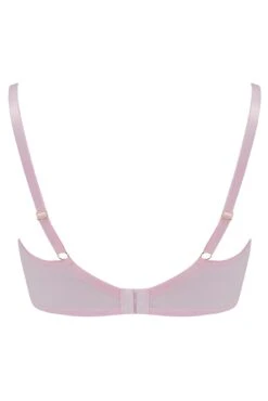 Parisienne Padded Longline Bra - Pink/Cream 13 Parisienne Padded Longline Bra - Pink/Cream -Sultry Curve 277325 20220504155500