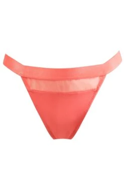 India High Leg Thong - Coral 10 India High Leg Thong - Coral -Sultry Curve 281002 20220330143400