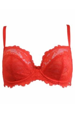 India Eyelash Lace Underwired Bra - Orange -Sultry Curve 281052 20220928165300