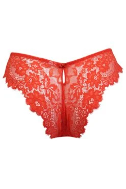 India Eyelash Lace V Brief - Orange -Sultry Curve 281059 20220928165300