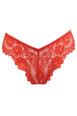 India Eyelash Lace V Brief - Orange -Sultry Curve 281060 20220928165300