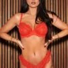 India Eyelash Lace V Brief - Orange 2 India Eyelash Lace V Brief - Orange -Sultry Curve 281061 20220330145200
